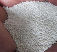 活性菠萝蜜视频网站